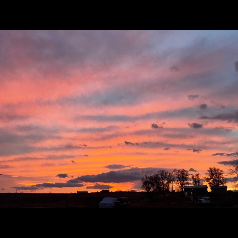 Meet your Posher, Devonee